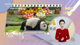 黄是免费网站